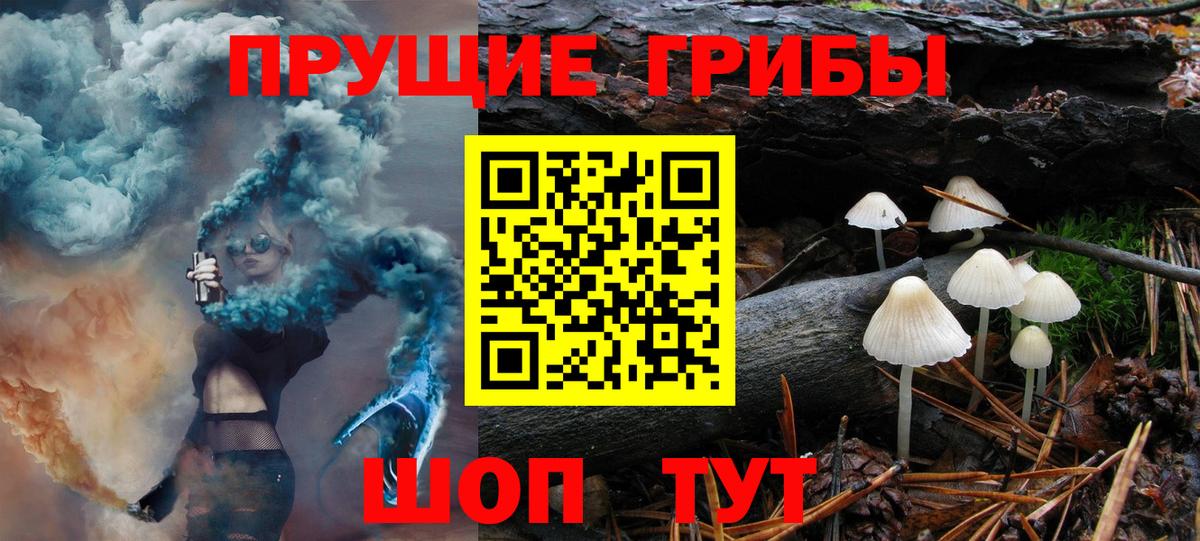 Псилоцибиновые грибы прущие грибы Ртищево