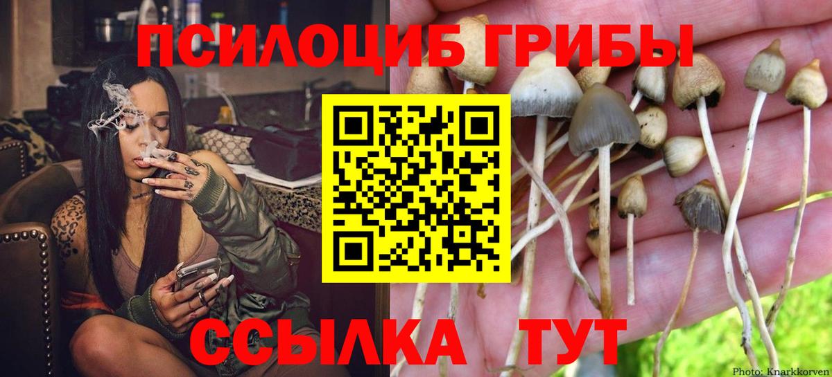 Галлюциногенные грибы Magic Shrooms  Вход с VPN  Ртищево 