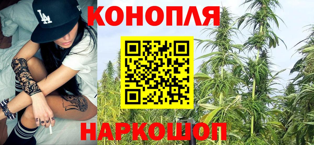 Шишки марихуана марихуана Ртищево